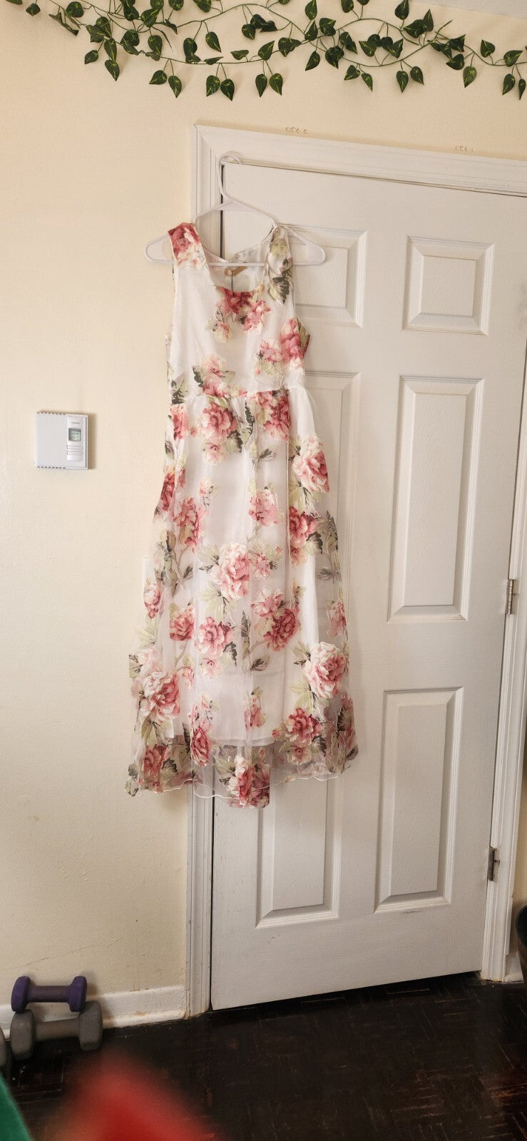 Floral Print  Sleeveless Dress for Women Sheer Floral Lace Dresses for Ladies L