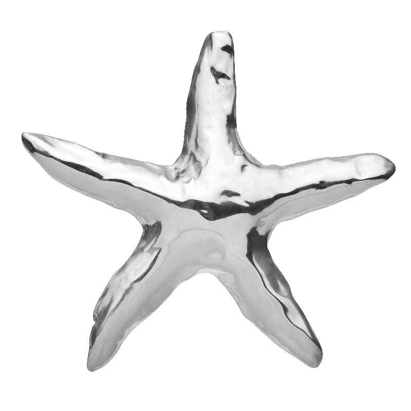2pc Starfish Brooch Set Gold & Silver Stainless Steel Ocean Life Pin