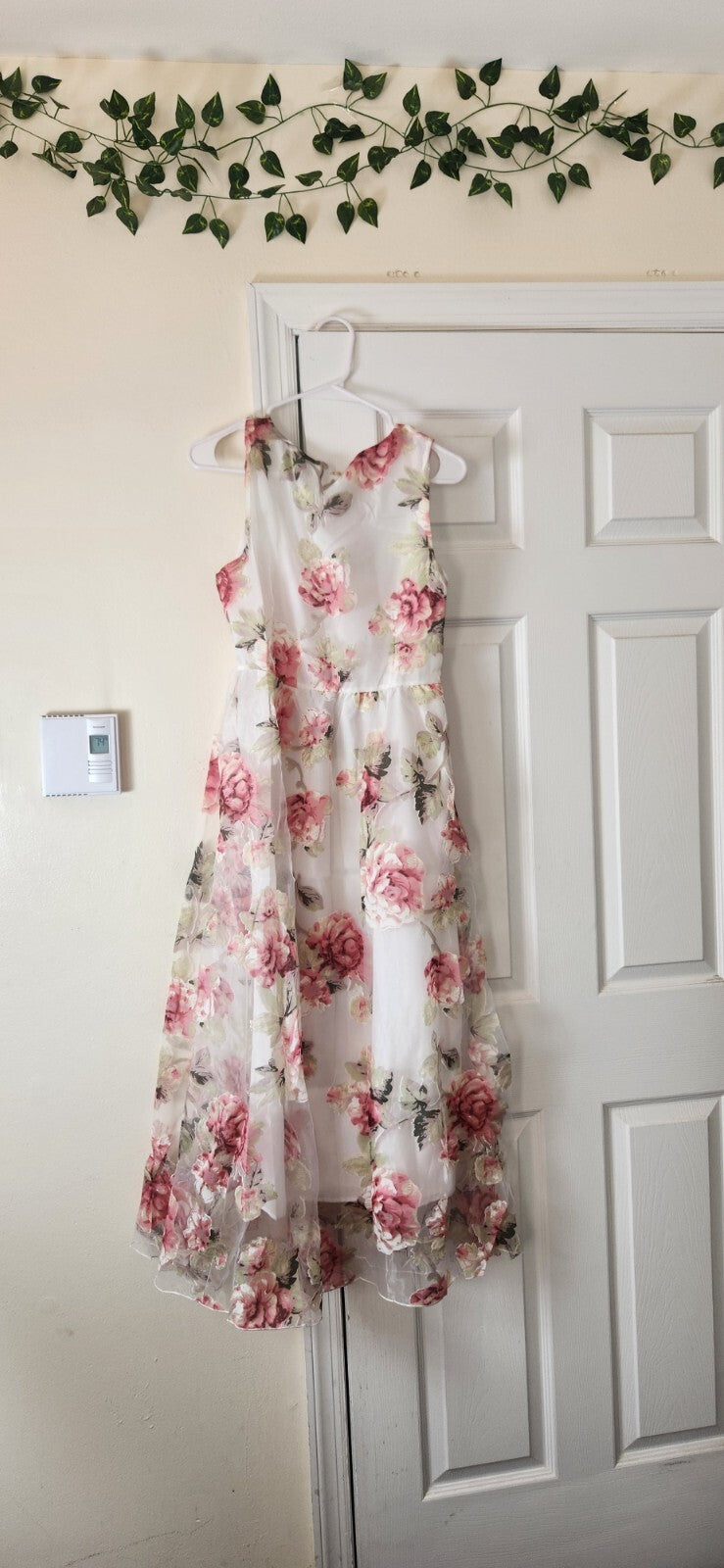 Floral Print  Sleeveless Dress for Women Sheer Floral Lace Dresses for Ladies L