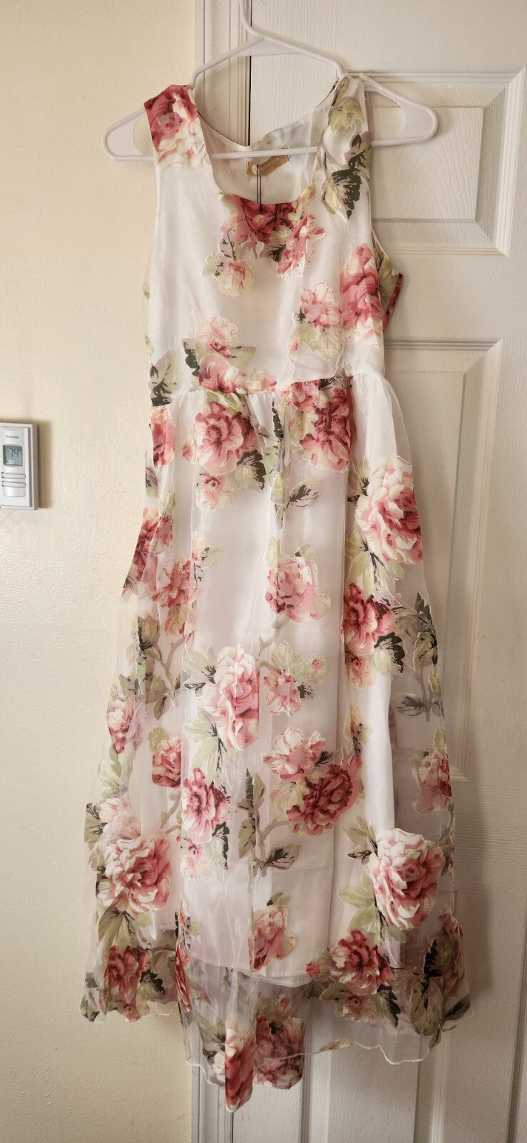 Floral Print  Sleeveless Dress for Women Sheer Floral Lace Dresses for Ladies L
