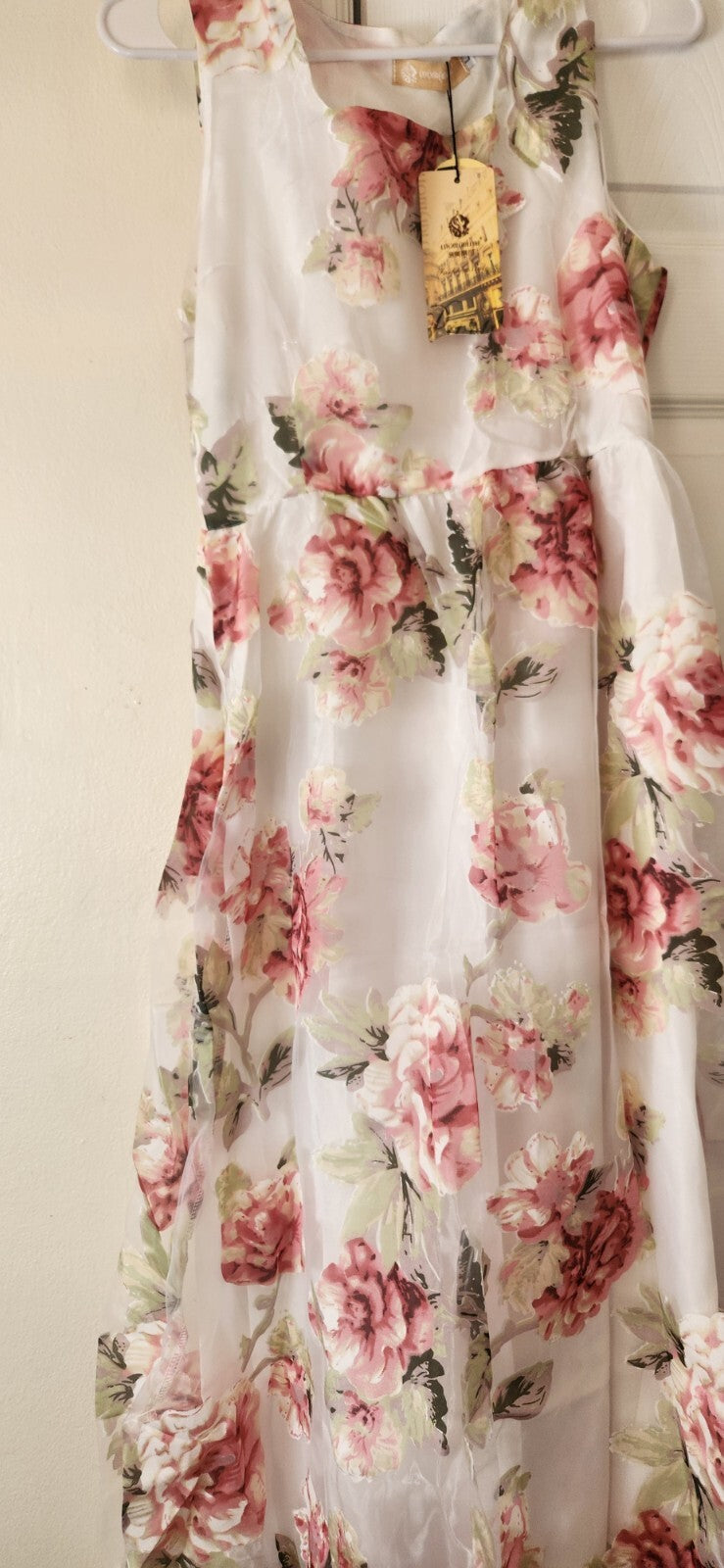 Floral Print  Sleeveless Dress for Women Sheer Floral Lace Dresses for Ladies L