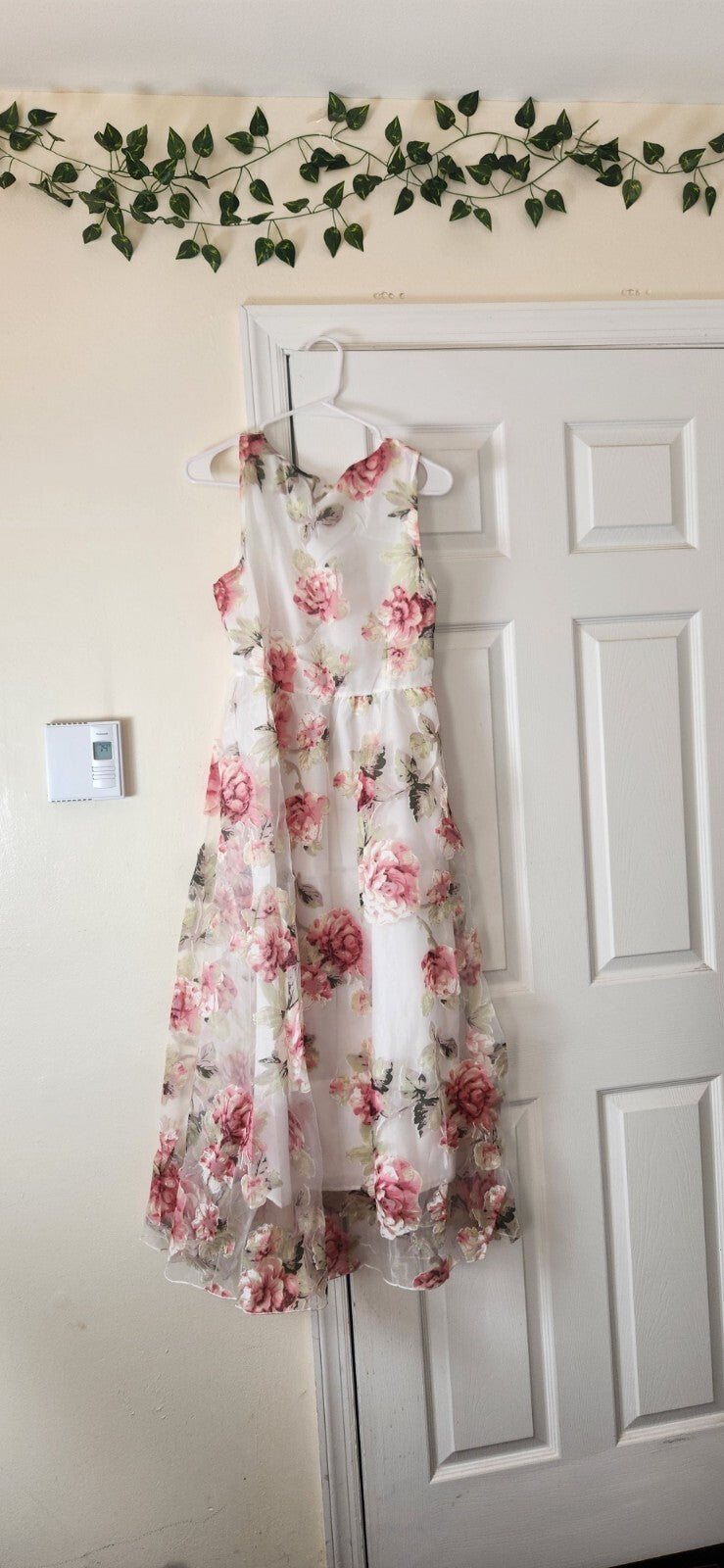 Floral Print  Sleeveless Dress for Women Sheer Floral Lace Dresses for Ladies L