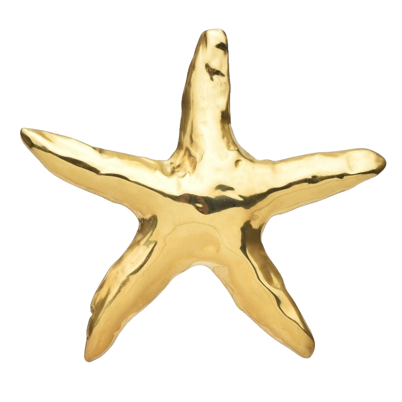 2pc Starfish Brooch Set Gold & Silver Stainless Steel Ocean Life Pin