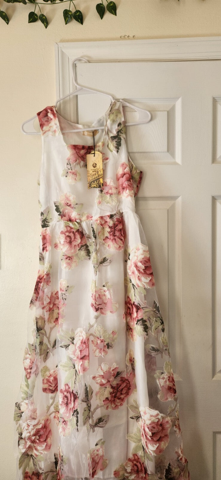 Floral Print  Sleeveless Dress for Women Sheer Floral Lace Dresses for Ladies L